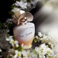 MAISON ASRAR EAU DE PARFUM 100 Ml - DEAR JASMINE MAISON ASRAR EAU DE PARFUM 100 Ml - DEAR JASMINE