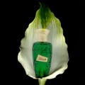 Hamsat Gharam 100ml парфюмна вода Hamsat Gharam 100ml парфюмна вода