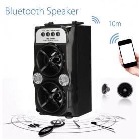 Тонколона, Музикална караоке система, радио MS-204BT