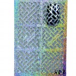 Шаблон за лакиране на нокти 12