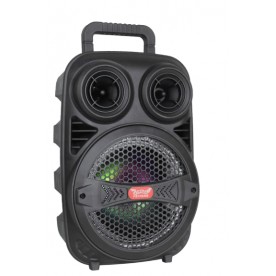 ПОРТАТИВНА КАРАОКЕ ТОНКОЛОНА TEMEISHENG FEIYANG 8 ИНЧА CX810 С МИКРОФОН - USB/BLUETOOTH/TF/REMOTE И ДРУГИ