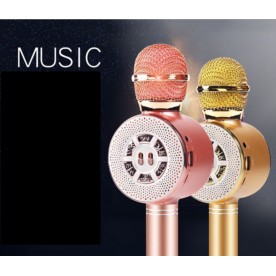 Безжичен микрофон с  вградени тонколони WS-669